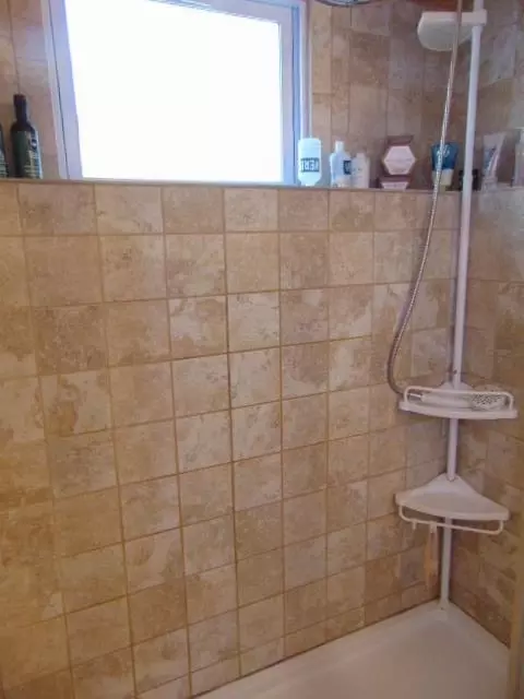 Bath - 727 Wright, Alma, MI 48801 photo 3 of 6