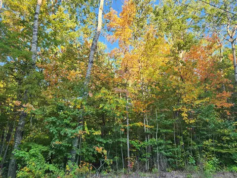 lot228 N Donnybrook, Frederic, MI 49733