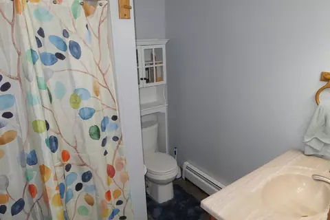 Bath - 10351 E Wing, Shepherd, MI 48883 photo 2 of 2