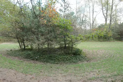 Other - 10351 E Wing, Shepherd, MI 48883 photo 8 of 11