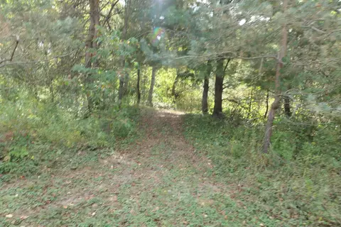 Other - 10351 E Wing, Shepherd, MI 48883 photo 9 of 11
