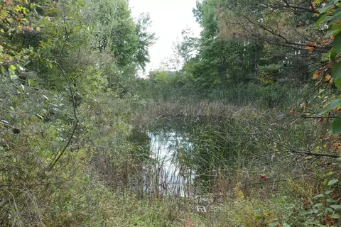 View/Area - 10351 E Wing, Shepherd, MI 48883 photo 1 of 1