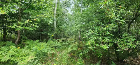 Parcel D&e River, Manistee, MI 49660
