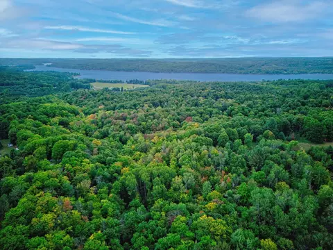 V/l Honey Hollow, Bellaire, MI 49615