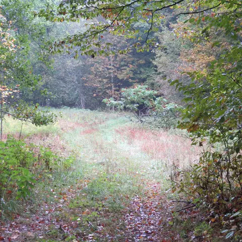 Mary Ann, Boon, MI 49618 photo 8