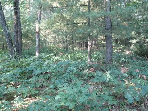 lot137 138 Tabor, Interlochen, MI 49643