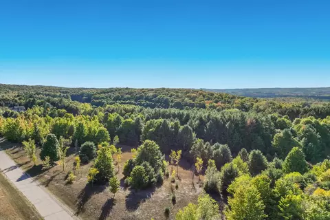 V/l S Ramblewood, Cedar, MI 49621