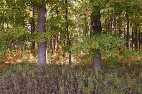 5701 S 25, Boon, MI 49618 photo 8