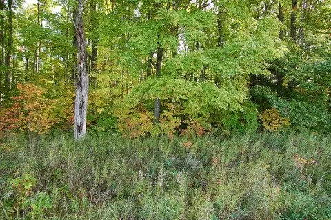 5701 S 25, Boon, MI 49618 photo 4