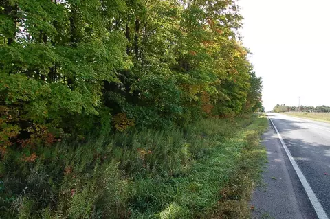 5701 S 25, Boon, MI 49618 photo 3