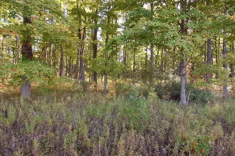 5701 S 25, Boon, MI 49618 photo 6