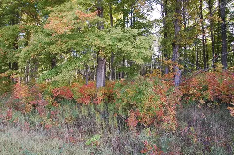 5701 S 25, Boon, MI 49618 photo 5