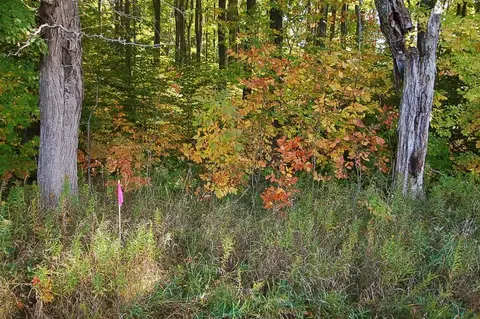 5701 S 25, Boon, MI 49618 photo 2