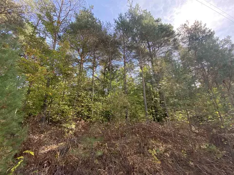 000 Hiawatha #LOT : 385, Buckley, MI 49620