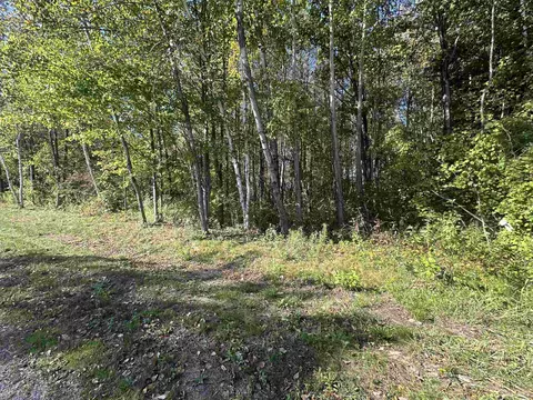 lot40 Witbeck, Clare, MI 48617