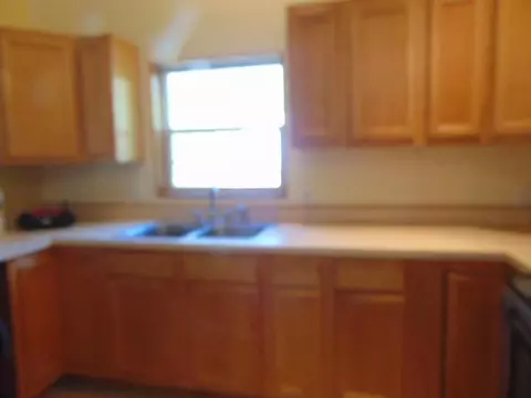 719 S Pine Riv, Ithaca, MI 48847 photo 4
