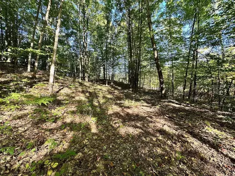 Parcel D Shanty Creek, Bellaire, MI 49615