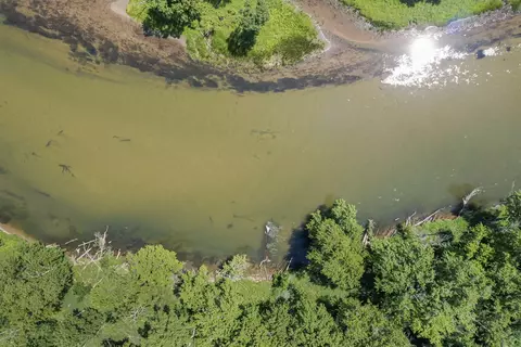 Parcel B River, Manistee, MI 49660 photo 11