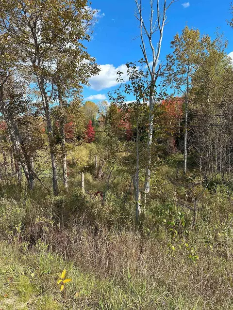 7191 N Old 27, Vanderbilt, MI 49795 photo 12