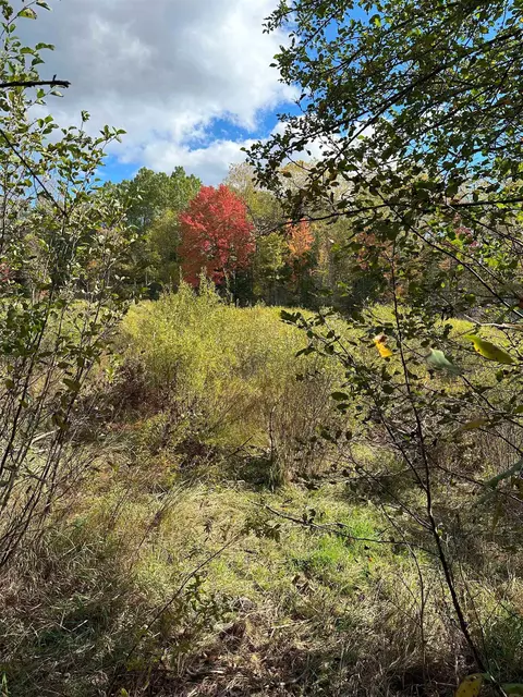 7191 N Old 27, Vanderbilt, MI 49795 photo 9