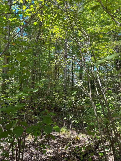 7191 N Old 27, Vanderbilt, MI 49795 photo 18