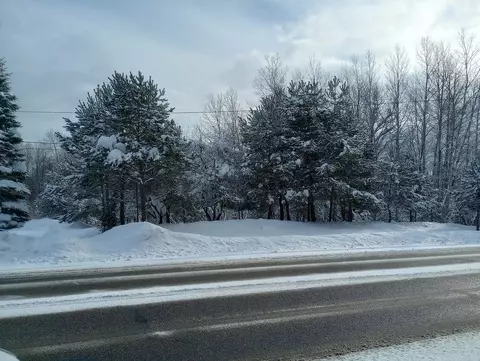 7191 N Old 27, Vanderbilt, MI 49795 photo 2