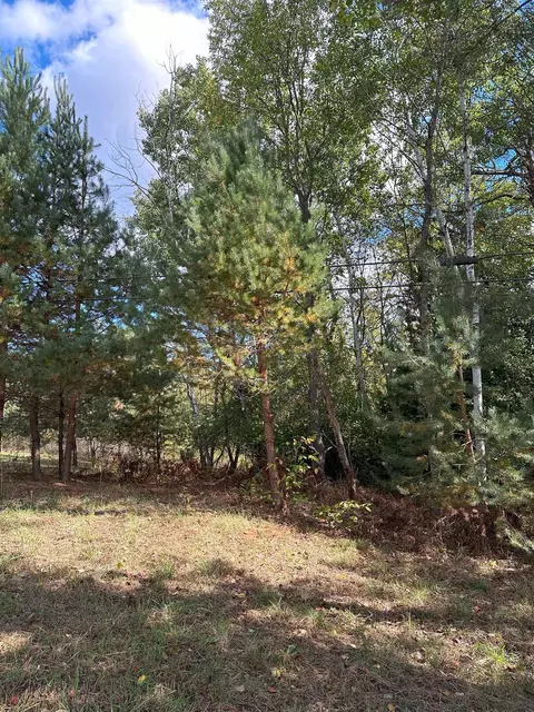 7191 N Old 27, Vanderbilt, MI 49795 photo 7