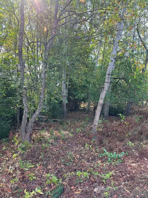 7191 N Old 27, Vanderbilt, MI 49795 photo 8