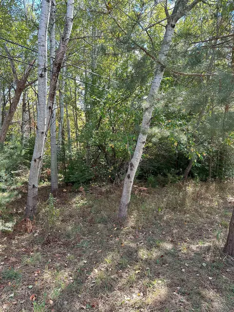 7191 N Old 27, Vanderbilt, MI 49795 photo 5