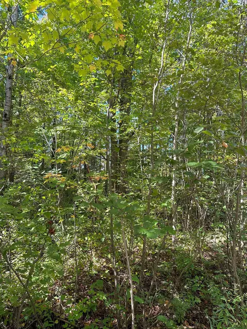 7191 N Old 27, Vanderbilt, MI 49795 photo 19