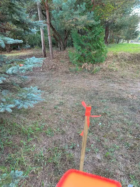 7191 N Old 27, Vanderbilt, MI 49795 photo 11