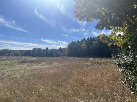 woodman LOT : A, South Boardman, MI 49680