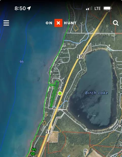 E Harbor, Elk Rapids, MI 49629 photo 6