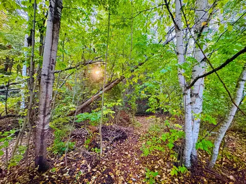 E Harbor, Elk Rapids, MI 49629 photo 4
