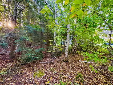 E Harbor, Elk Rapids, MI 49629 photo 12