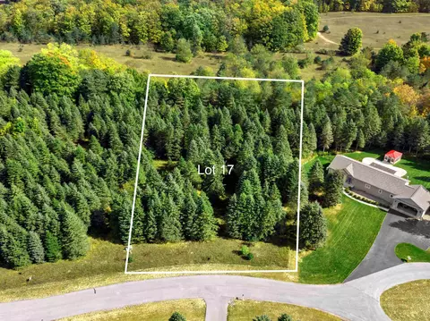 lot17 Lipp Farm, Benzonia, MI 49616