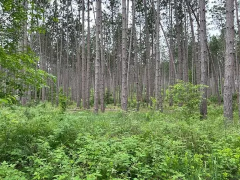 0 Samels, Williamsburg, MI 49690