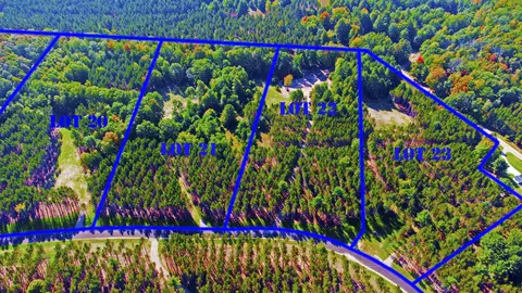Unit 22 NW Dockery Road, Nw #7191 DOCKERY HILLS LN NW, Williamsburg, MI 49690