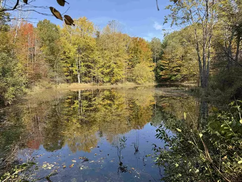 21769 21 Mile, Paris, MI 49338