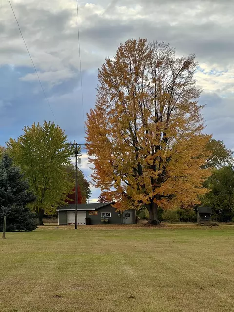 8410 E Pierce, Ithaca, MI 48847 photo 6