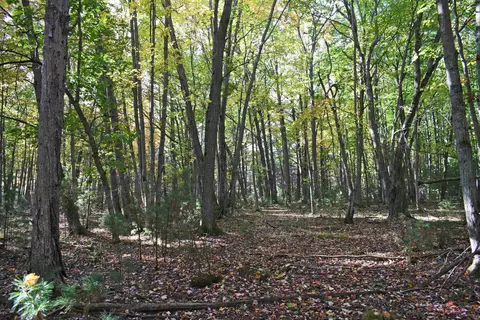 01 Rainbow, East Tawas, MI 48730
