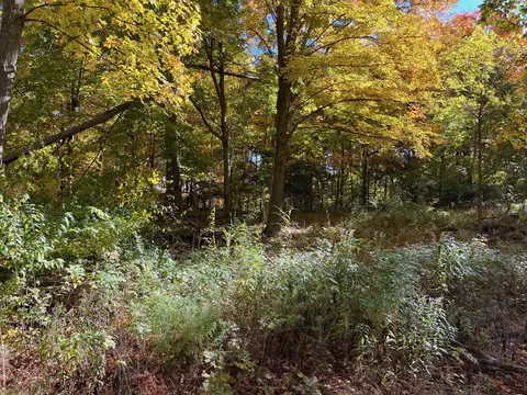 10-010 Burr #LOT : 10, Benzonia, MI 49616