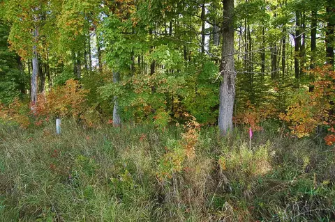 5703 S 25, Boon, MI 49618