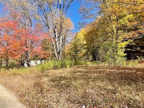 0 Coho, Beulah, MI 49617