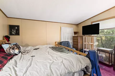 Bedroom - 7070 Devils, Kaleva, MI 49645 photo 3 of 6