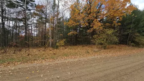 00 Morrison, Alger, MI 48610