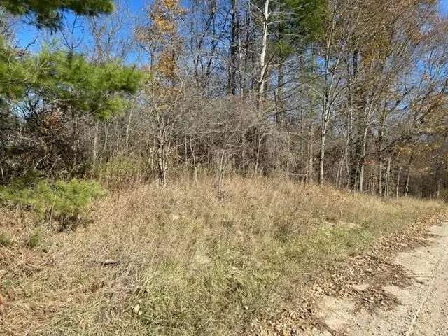  7577 E Beal City, Mount Pleasant, MI 48858 photo 6