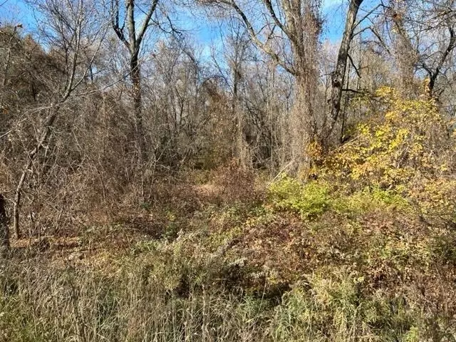  7577 E Beal City, Mount Pleasant, MI 48858 photo 3