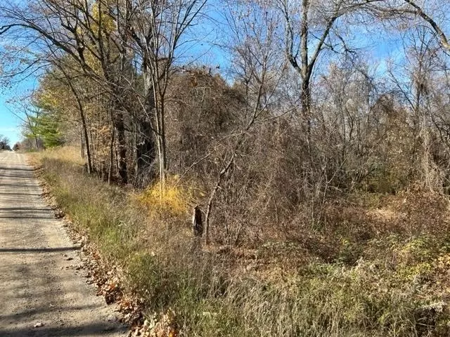  7577 E Beal City, Mount Pleasant, MI 48858 photo 4