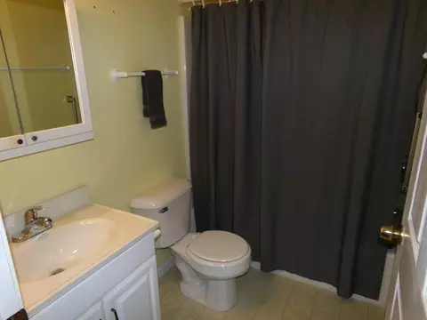 Bath - 8727 Arbutus, Farwell, MI 48622 photo 4 of 5
